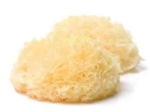 ������������ĺô� �������Ժ���Щʳ��������