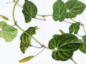 ������Ĺ�Ч ��������ù������