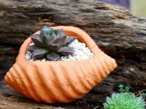 ����ɢ�Ĺ�Ч ����ɢ����©��ֹ