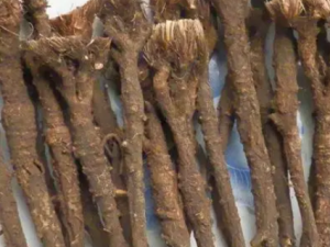 �������Ĺ�Ч ��������̵ű����