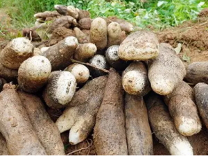 ��������Щ��Ч ������Ӫ����ֵ