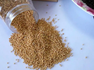 ��ĩ�ѵĹ�Ч���� ��ĩ�ѿ�ɢ��ֹʹ