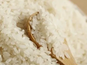 �л��׶�����Щ�ô� �л�������������