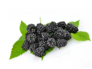 ɣ���Ĺ�Ч ɣ����������Ѫ