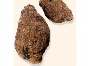 ����ɢ�Ĺ�Ч ����ɢ����Сˮ