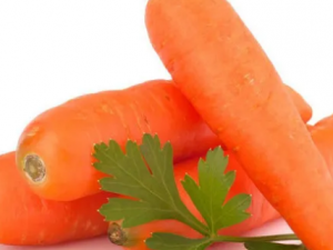 7���߲�����ļ������