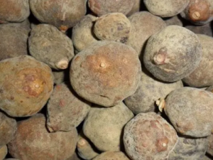 �����Ĺ�Ч ����������˲���