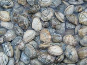 ���пǵĹ�Ч ���п���존�