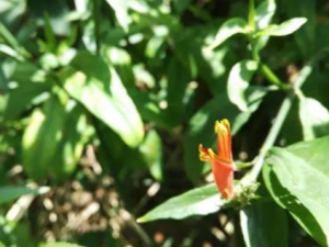 Ť�򻨵Ĺ�Ч Ť�����λ���