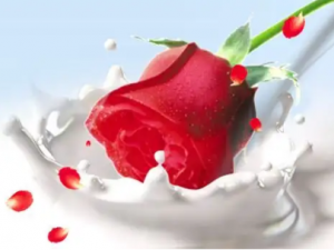 ��ô����õ�廨������