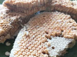 �����Ĺ�Ч ���������֫������ʹ