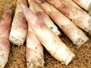 �����ʳ�ù�Ч ��Щ�˲���ʳ�ô���