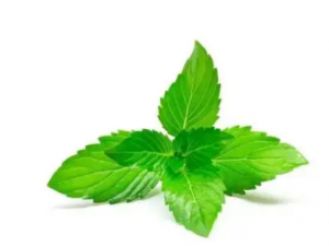 �����ɵĹ�Ч �����������ȸ�ð