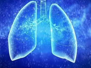 �������Ĺ�Ч ���������������ʱ�ѷ�̵֮��