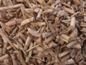 ��ǻ��Ӧ������� ��ǻ�׵���ҽ����ƫ��