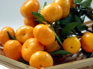 ����Ҫע�����ʳԭ��