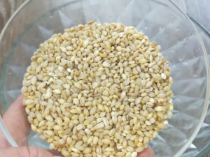 СʳƷЩ 6СʳƷĿʺ