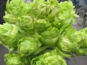 ���ӽ�Ĺ�Ч ���ӽ��ȥ����