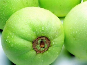 �����з���ܳ�ʲô �����з�Ľ���ʳ��