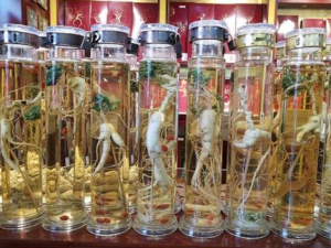 �����������Щҩ�ƺ���