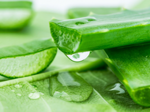 «������ȥ���̺��� «��ȥ���̺۵ķ���