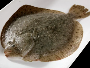 ��Ŀ��Ĺ�Ч ��Ŀ��ɻ�Ѫͨ��