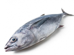 ��ǹ��Ĺ�Ч ��ǹ����Լ���Ѫ֬