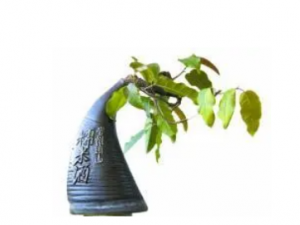 ���׾����Ĺ�Ч ���׾������ڿ��Է���