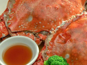 ��з�İ˸�������֪������