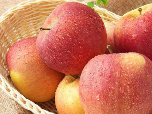 ���ε�ʳ������Щ