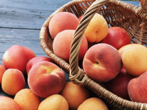 ���ﶼ����Щ ����������˿ڵĶ���