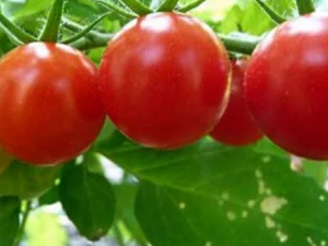 4����ζ����֭����ȥ�ߵ�