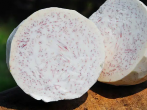 Ŵ��Ĺ�Ч  Ŵ���ι��۹ؽ�Ť��