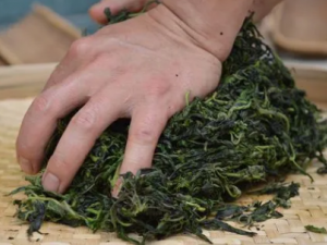 ţ����Ĺ�Ч ţ�����������ַοȴ�