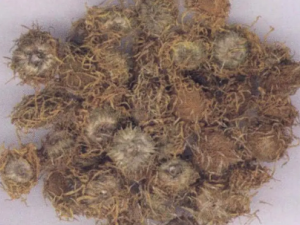 ͷɢĹЧ ͷɢС㲻ͨ