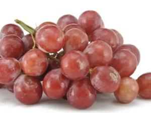 ���������Ƿֺ��������ϲ���ʳ��Ŷ