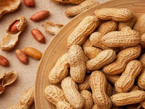 ���������Խ��Խǳ С�����֧��