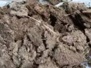 �����ɢ�Ĺ�Ч �����ɢ������