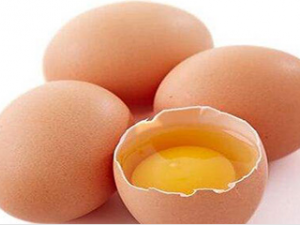 ����������ʲô�� �²˼����ǲ�����ѡ��Ŷ