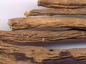 �Ӽ���Ƥ���Ĺ�Ч �Ӽ���Ƥ����ˮ���ķ�