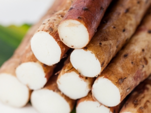 ����������ʲô �������λ��εķ���