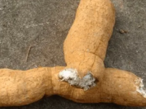 ��¥���Ĺ�Ч ��¥�����������ȷ���