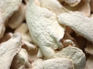 �ɽ�ɢ�Ĺ�Ч �ɽ�ɢ������ŧѪ��