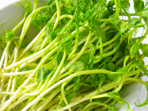 �Ӽ���ʳʱ��α�����ʳ������ʳ���ж�