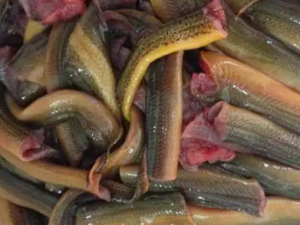 ������Ҫע����Щ����