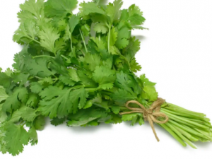 ������η��θ�ð ���θ�ðӦ��������