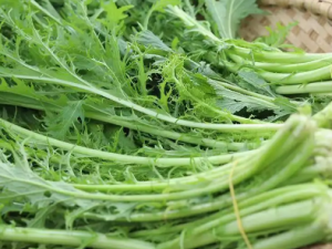 ѩ�˵Ĺ�Ч ѩ�����δ�Ӹ��ʹ