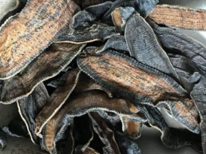 ���龿����β� ���鲻�ʵ�ԭ��