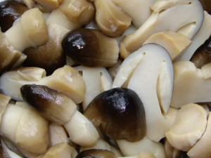 Ů�˳�ʲôʳ�ﲹ��Ч���� Ů����Ҫ��������������