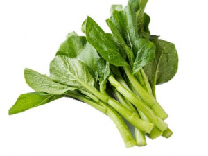 ��̦�Ĺ�Ч ��̦�Ľ�����Ⱥ